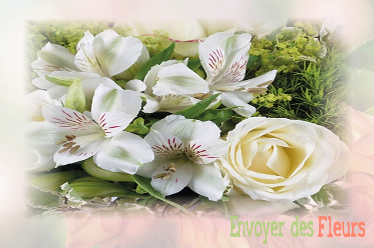 envoyer des fleurs à à VILLIERS-LE-ROUX