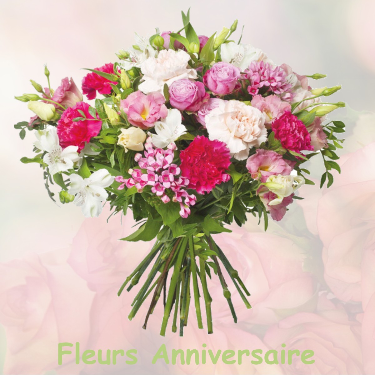 fleurs anniversaire VILLIERS-LE-ROUX